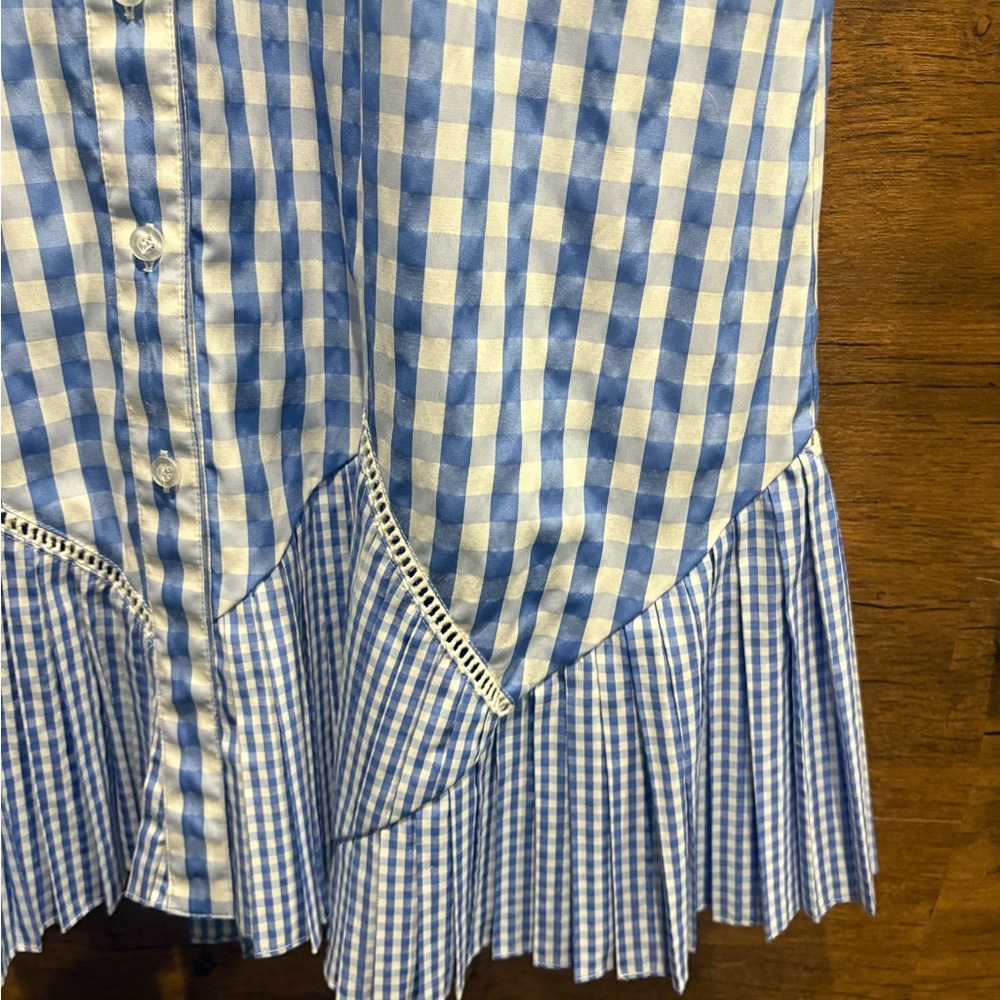 Thakoon × RTR Blue Gingham Dress - Picture 9 of 11
